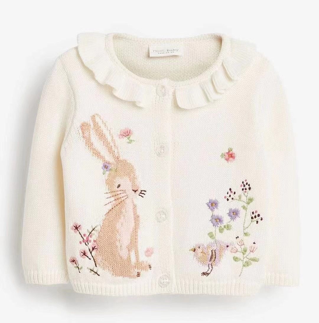 2025 Spring Autumn children's  - огляд і ціна Baby Clothing Jumper